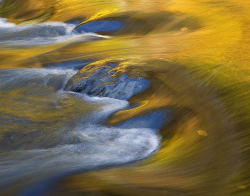 South Branch Raritan River 2, Hunterdon County, NJ (MF).jpg.jpg South Branch Raritan River 2, Hunterdon County, NJ (MF).jpg.jpg